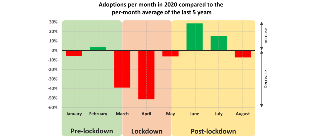 Adoptions per month in 2020 compared to the per-month average for the last 5 years