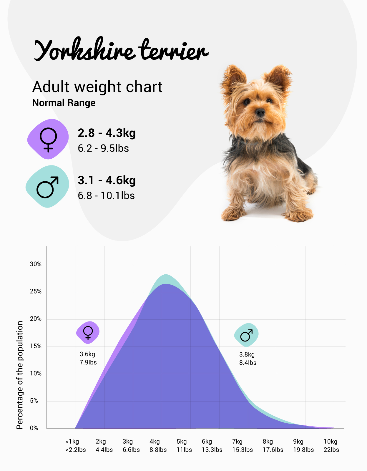 Peso Yorkshire Terrier