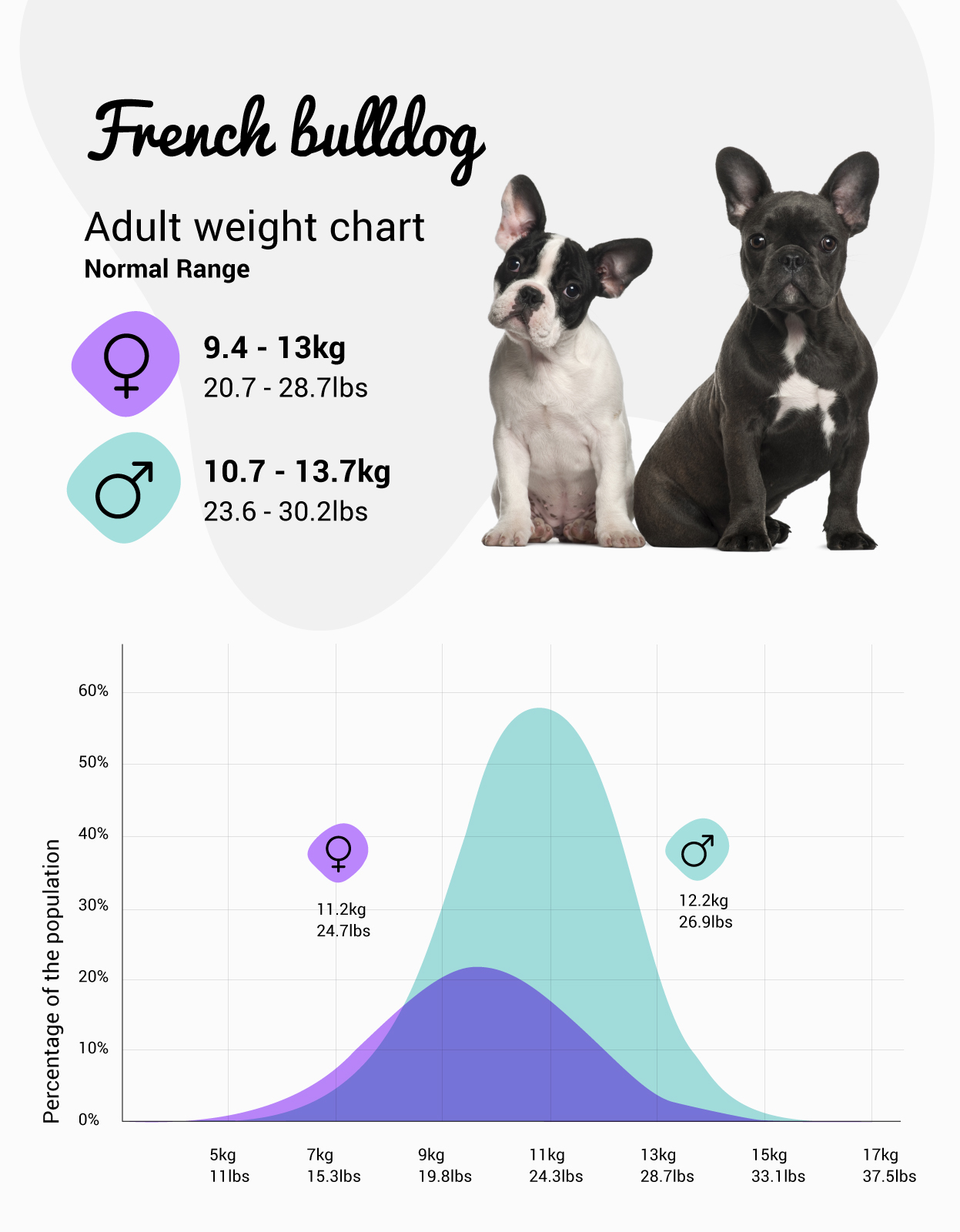 how many kg is a french bulldog? 2