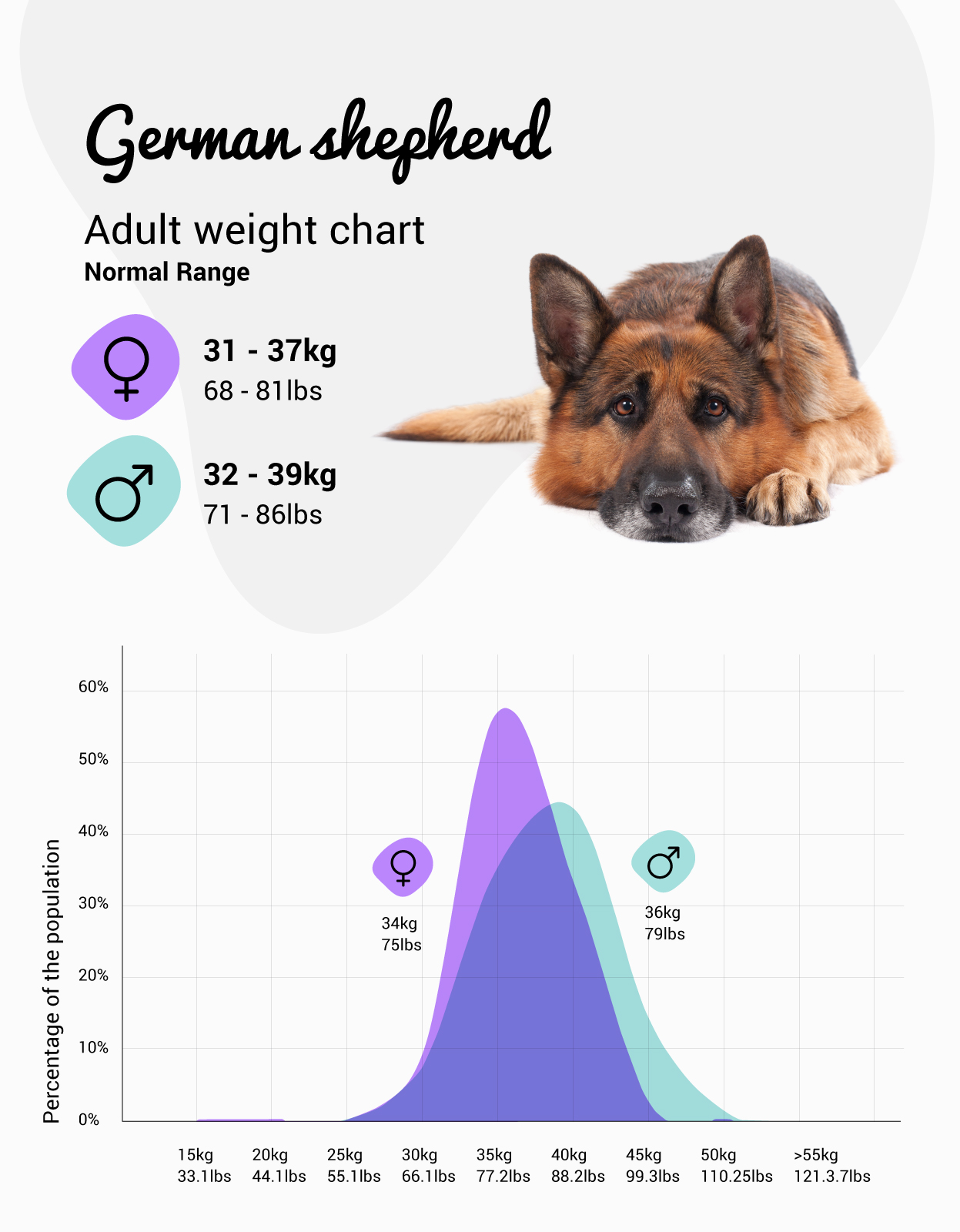 German Shepherd Weight Chart