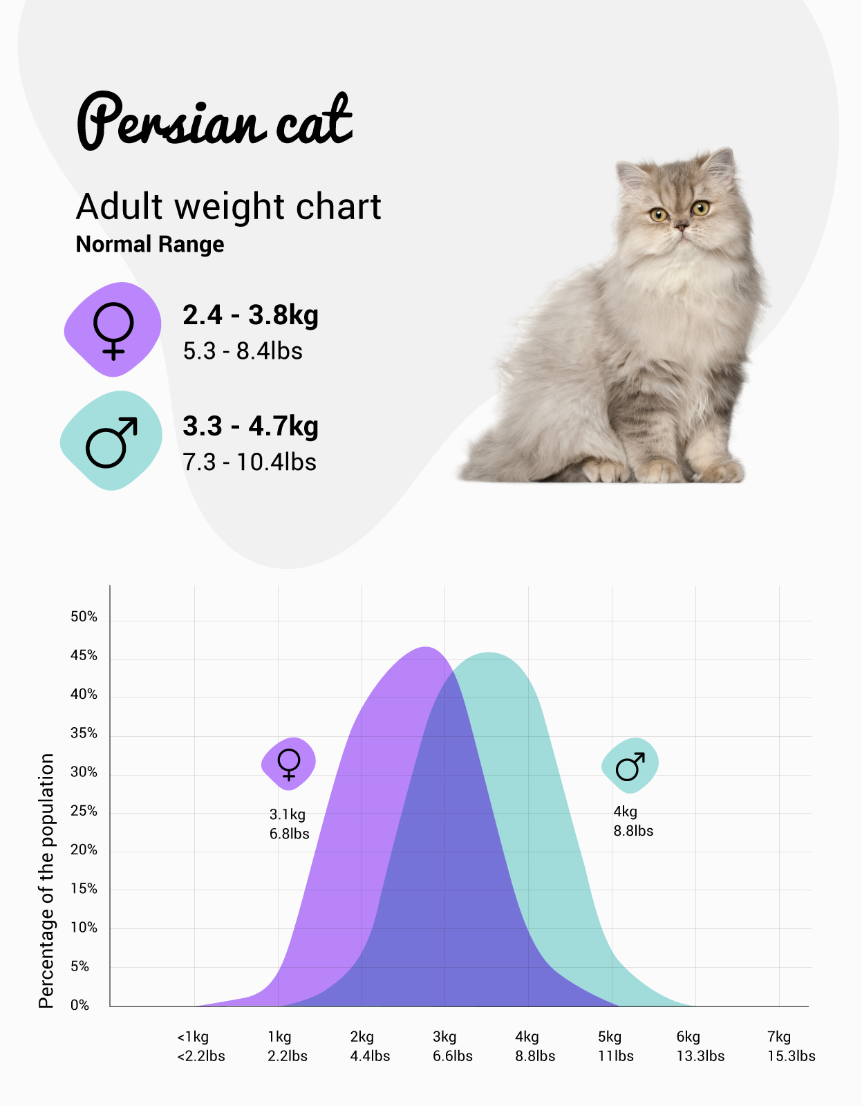 Persian Weight Chart