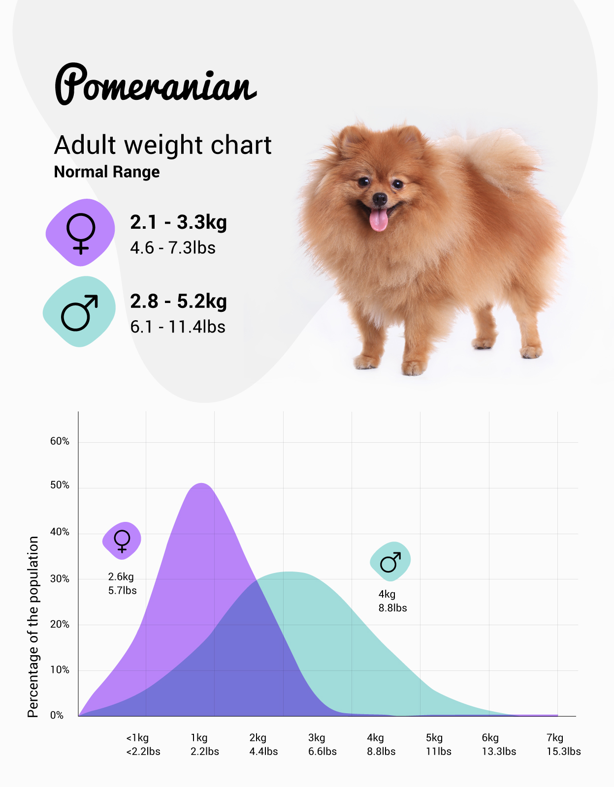 Pomeranian Weight
