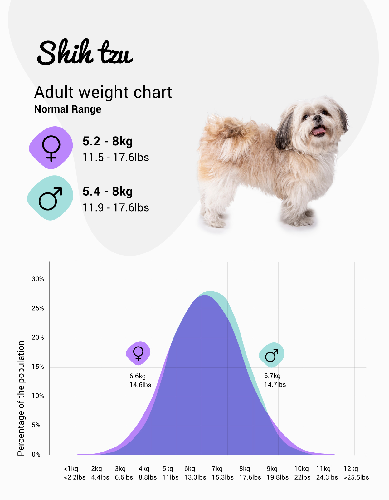 When do Shih Tzu Puppies Stop Growing: Size and Growth Chart